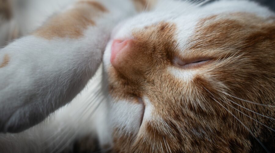 Comment Financer Votre Premier Investissement Immobilier